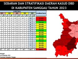 Sudah 12 Orang di Sanggau Meninggal Dunia Akibat DBD