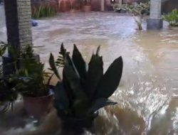 Akibat Hujan Deras, Rumah Warga Lape Terendam Banjir Bandang