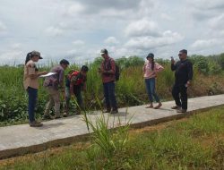 DKPTPHP Sanggau Bangun JUT di Dusun Tokang Jaya Desa Tri Mulya