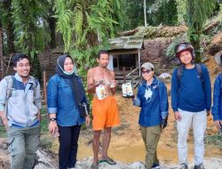 Cegah Penyakit Demam Babi Afrika Disbunnak Sanggau Berikan Disinfektan kepada peternak